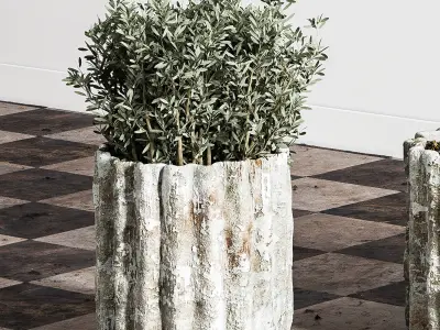 indoor plant stant 43 Low-poly 3D model