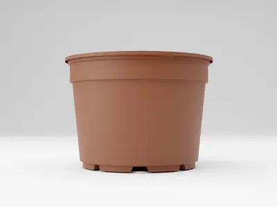 Garden Growing Flowerpot  Low-poly 3D model