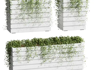 Ivy in tubs - 3 models 3D model