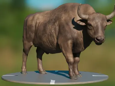 European Bison  muscle file 3D model