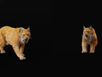 Carpathian Lynx Low-poly 3D model