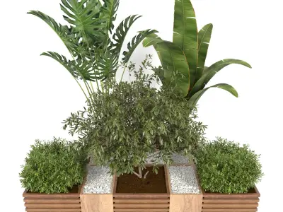 plants collection 18 3D model
