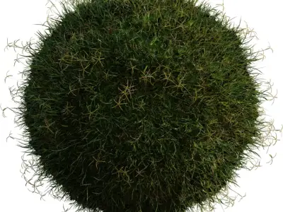 Realistic Lawn Grass Clump Pack Low-poly 3D model