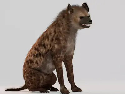 Realistic Animals Savannah - Hyena  Low-poly 3D model