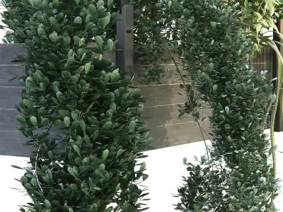 Indoor celling plant box set 197 3D model