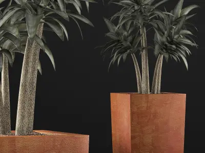 Plants Collection 106 3D model
