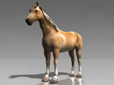 Palomino Horse Low-poly 3D model