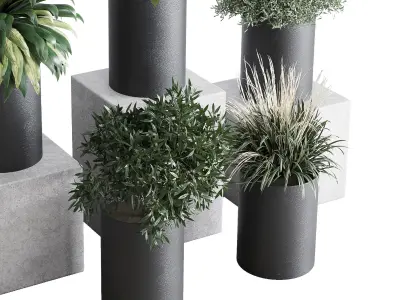Small plants pot  indoor plant set 280 3D model