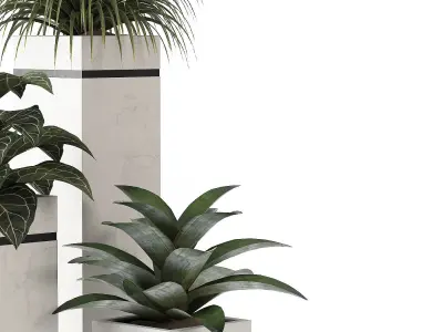 indoor plant 05 3D model