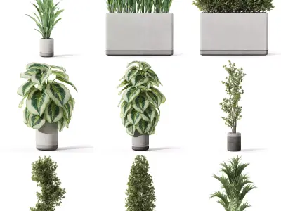 Plants collection vol 41