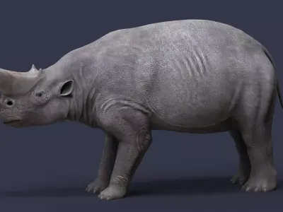 Arsinoitherium zitteli 3D model