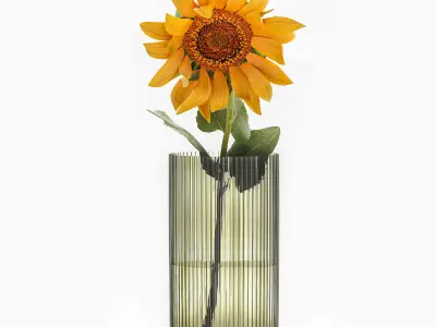 Flower bouquet of sunflowers in a vase 120 3D model