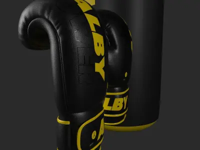 BOXING GLOVES AND GEAR 3D model