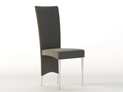 Cattelan Italia Elenoire Chair 3D model