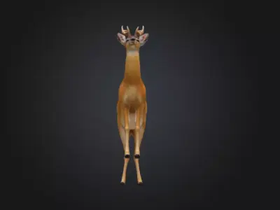 Graceful Stag Low-poly 3D model