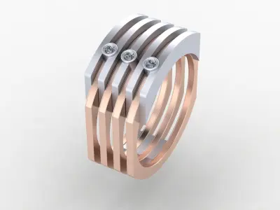 Unisex ring for men and women with stylish design  3D print model