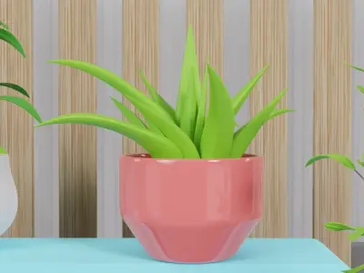 Potted Plant Set - Interior Succulent Design - 3D Model Low-poly 3D model