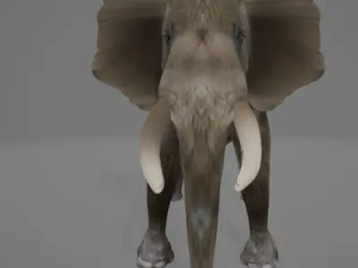 Elephant with long tusks 3D model