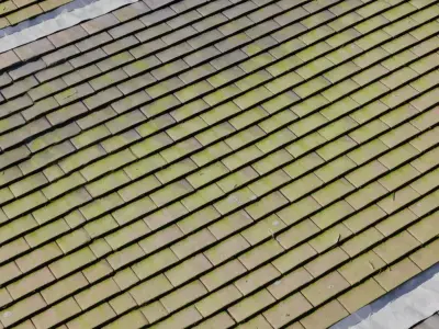 Mossy Clay Shingle Roof  Texture