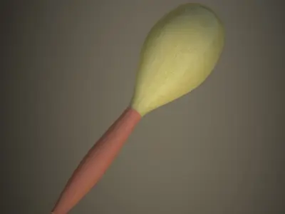 Maracas Low and High Poly Low-poly 3D model