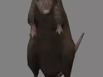 Rat Animation - Game Ready- Low Poly Low-poly 3D model