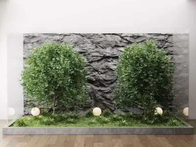 Modern Indoor Zen Garden with Glass Enclosure and Stone Wall 3D model