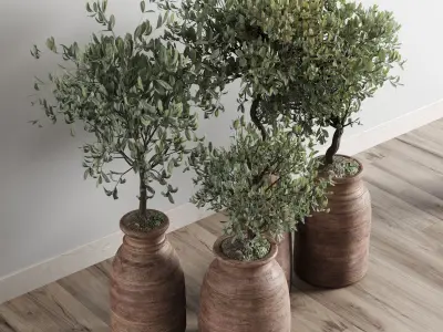 collection outdoor plant 19 -wood old vase Low-poly 3D model