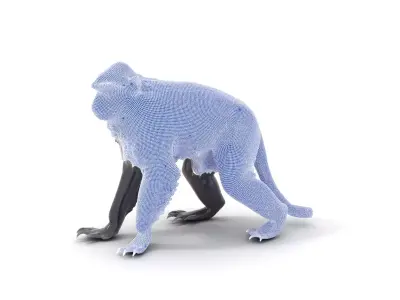 Elegant Black Monkey model pack Low-poly 3D model