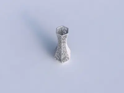 Vase larger opening hexagon with organic lattice and twisted ... 3D print model