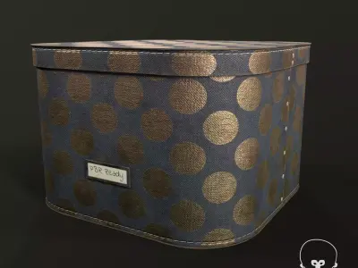 Designer Storage Box - used item Low-poly 3D model