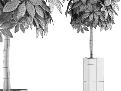 Plants Collection 46 3D model