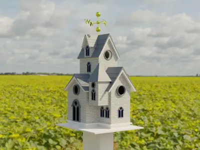Birdhouse in middle of field 3D model