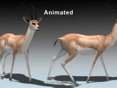 GAZELLE two animated antelopes Low-poly 3D model