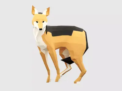 Jackals polygonal wolf Low-poly 3D model