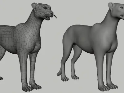 Cheetah Model Low-poly 3D model