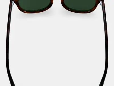 Ryland Sunglasses in Cognac Tortoise 3D model