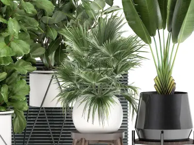 Houseplants in a flowerpot for the interior 935 3D model