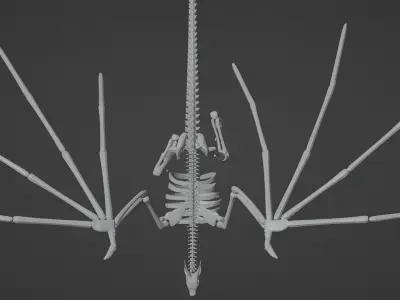 skeleton dragon blender Low-poly 3D model