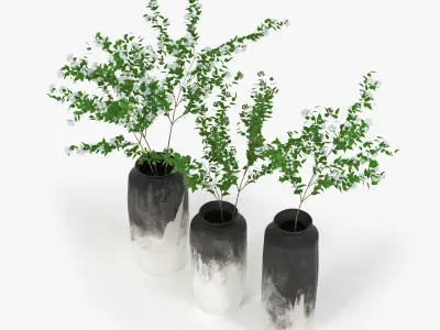 Branch three vases with plants 3D model