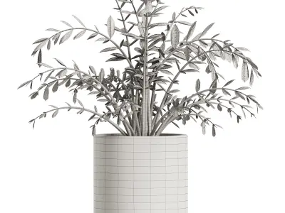 Terracotta Pot with plant 3D model