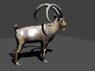 nubian ibex 3D model