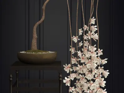 Bonsai Magnolia 3D model