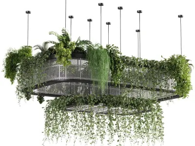 indoor plants - 62 Hanging indoor plant 3D model