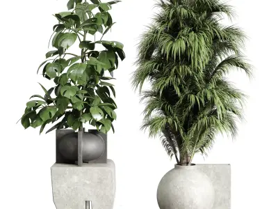 Monstera and Palm set Plants in concrete dirt vase 205 3D model