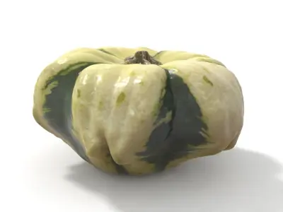 Decorative Gourd Pumpkin Squash Flower 3D Scan 3D model