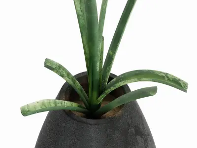 Attitude exotic vase  Low-poly 3D model