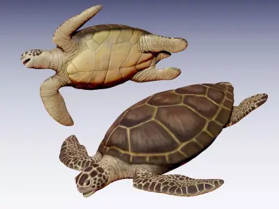 Sea Turtle Low-poly 3D model