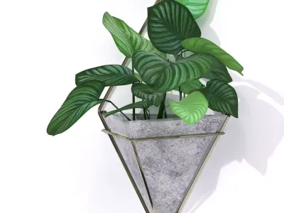 Metal Frame Plant Pot 3D model