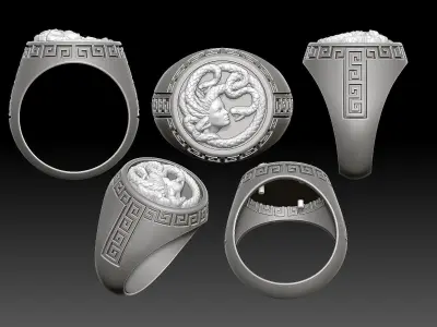 Medusa   man ring Sculpture jewelry Gold silver  3D print model