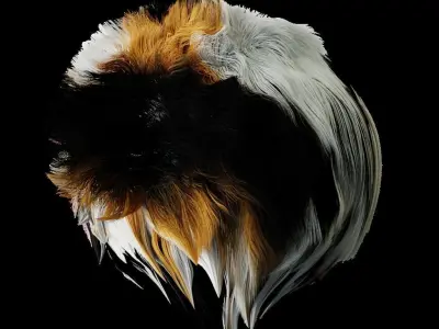 Calico Tricolor Cat Low-poly 3D model